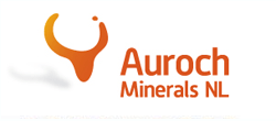 Auroch Minerals Ltd (AOU:ASX) logo