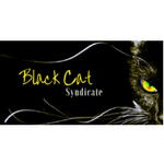 Black Cat Syndicate Limited (BC8:ASX) logo
