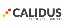 Calidus Resources Limited (CAI:ASX) logo
