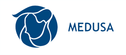 Medusa Mining Limited (MML:ASX) logo