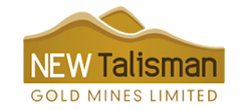 New Talisman Gold Mines Limited (NTL:ASX) logo