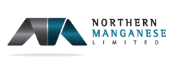 Nt Minerals Limited (NTM:ASX) logo