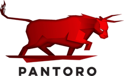 Pantoro Limited (PNR:ASX) logo