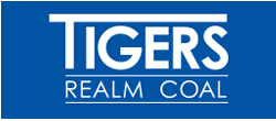 Tigers Realm Coal Limited (TIG:ASX) logo