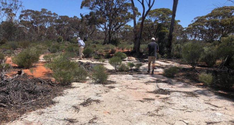 Exploration at the Coolgardie West project.
